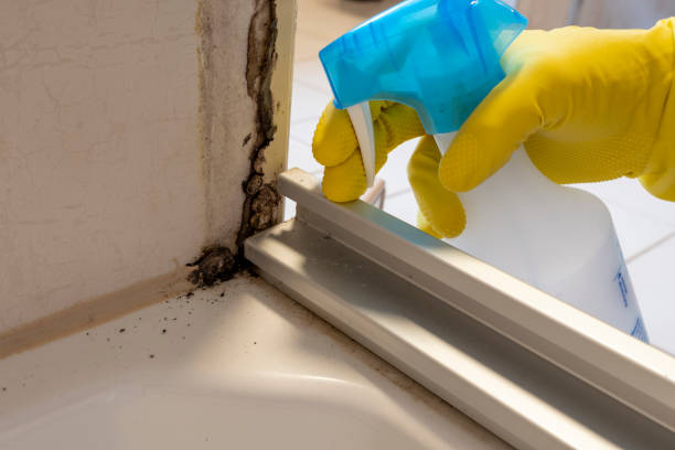 Best Mold Remediation for Specific Building Types in Columbia, MS